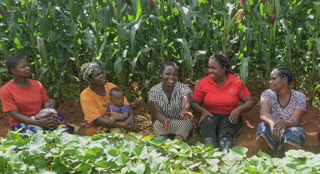 馬拉維留學生庫瓦莉：在中國田間地頭尋找非洲糧食增產(chǎn)的奧秘